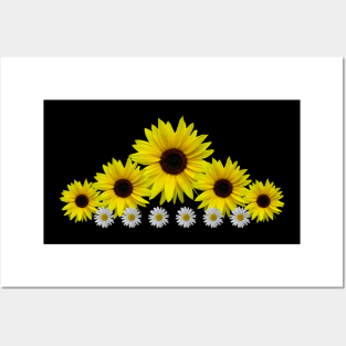 Sunflowers, daisies, flowers, floral, blossoms Posters and Art